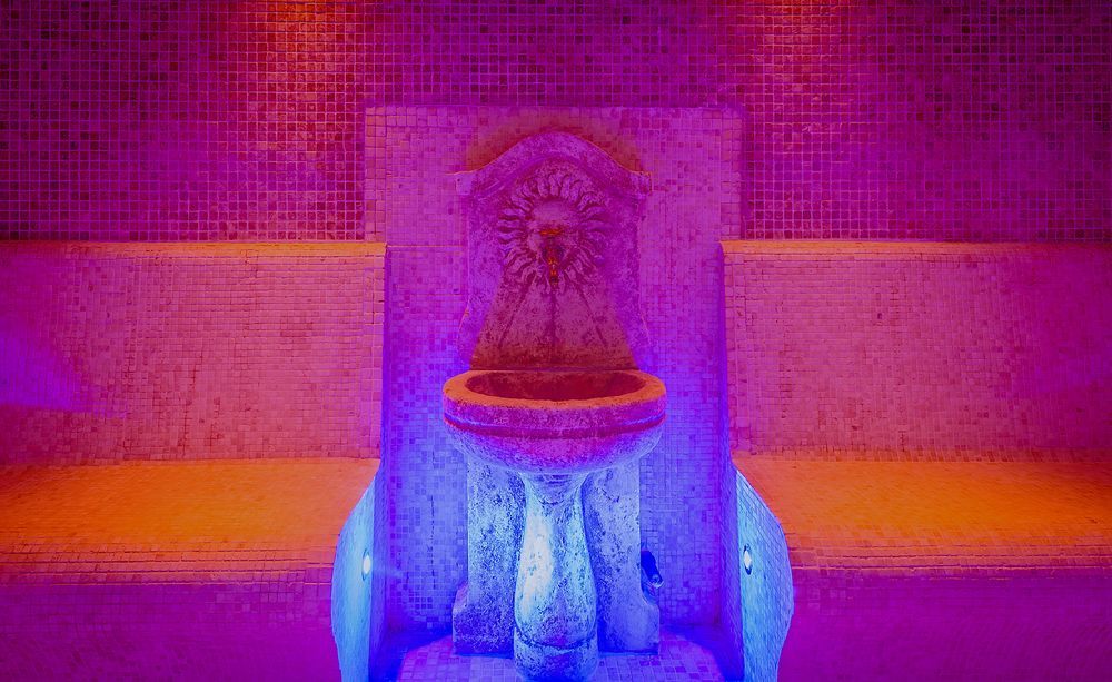Les Saules Parc & Spa - Teritoria Vonnas Bagian luar foto